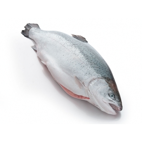 Chilled salmon with head, 1kg