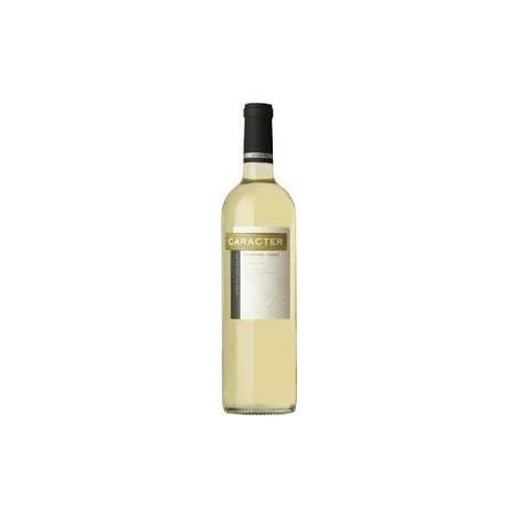 White wine Santa Ana Character, 750ml