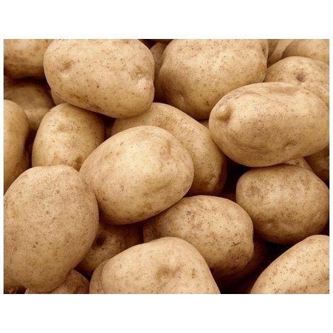 New potatoes, Latvian, 1kg