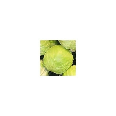 New cabbage, 1kg