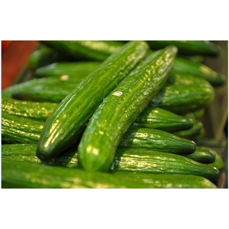Long cucumbers, 1kg