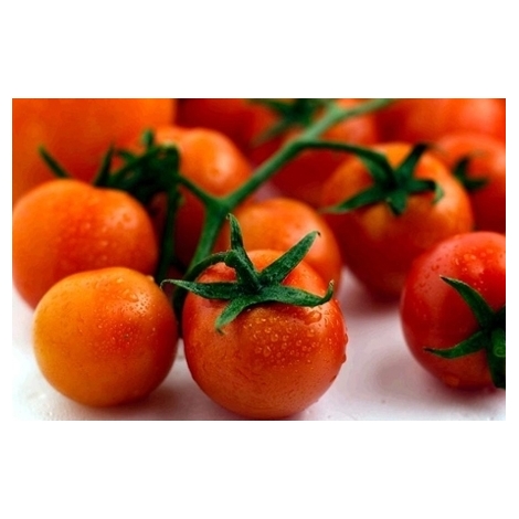 Tomāti ķekaros Cherry, fasēti, 500g