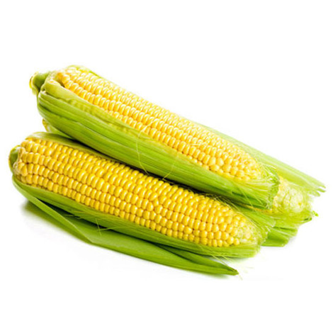 Latvijā audzēta kukurūza, 1kg